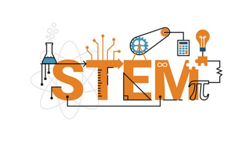 FREE STEM workshop