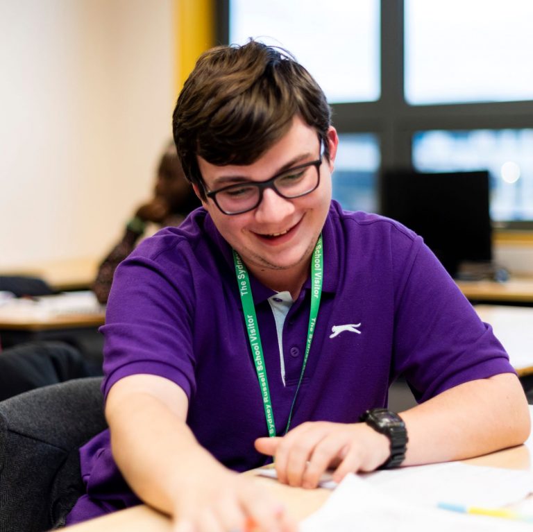 FREE - Remote Learning: Applying flexibility, perseverance and problem solving